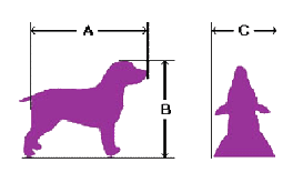 Sizing your pet